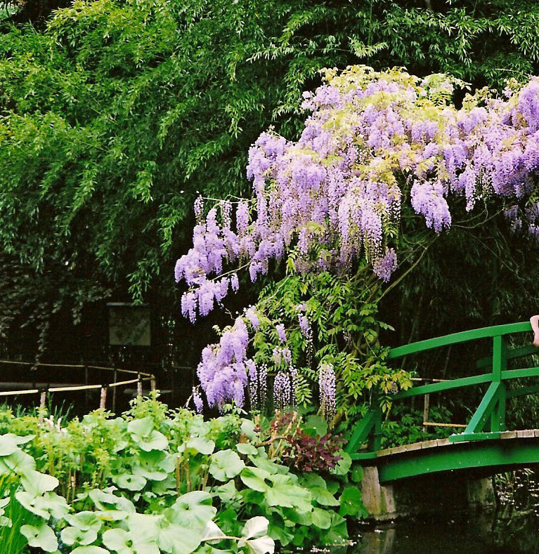 Giverny