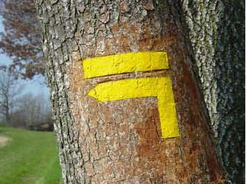 baliseur petitesrandos