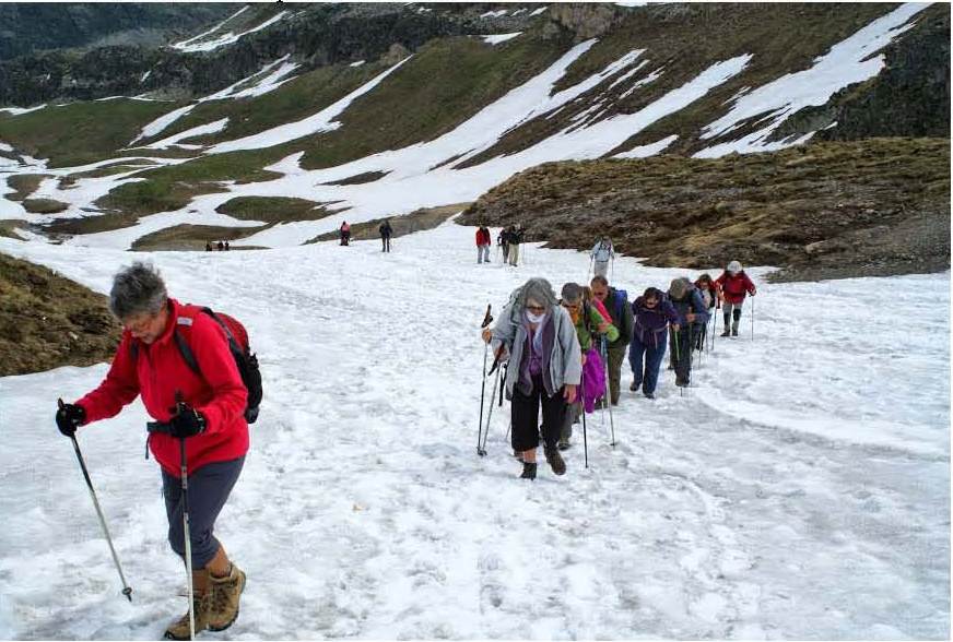 deseniorsafondlaforme