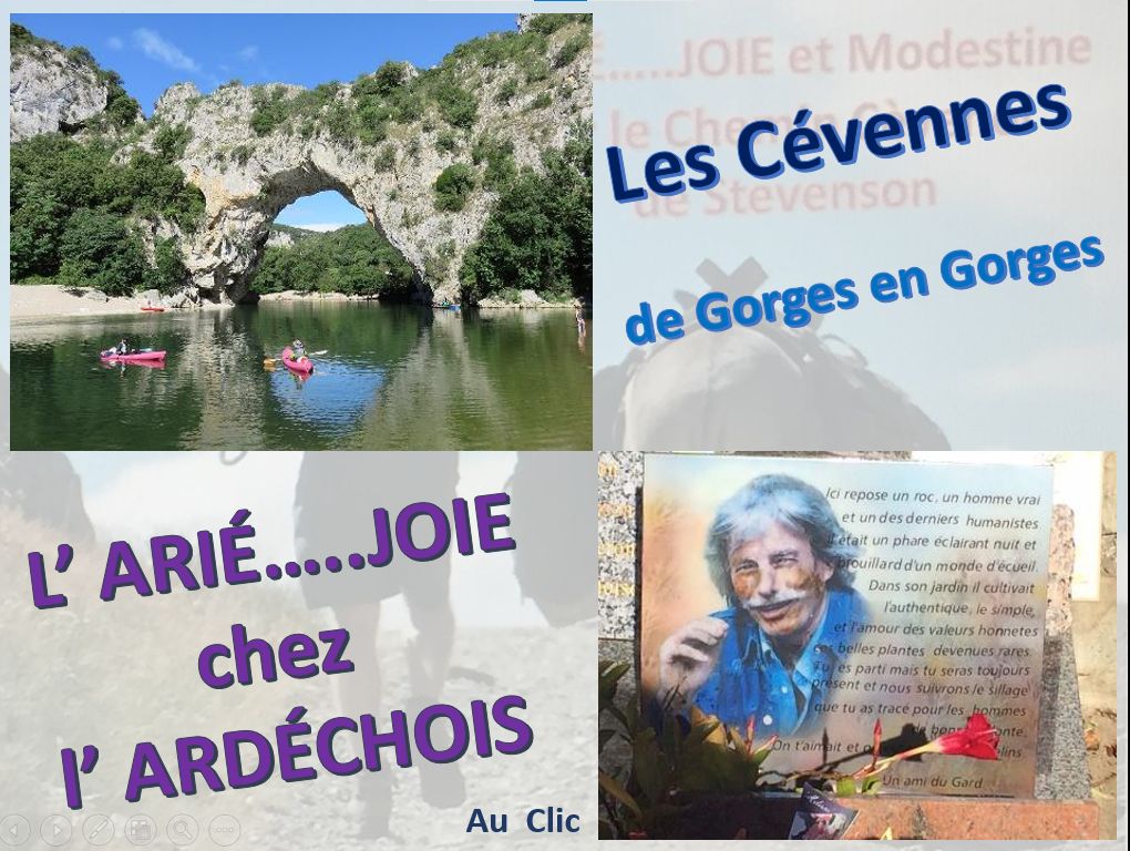 cevennes