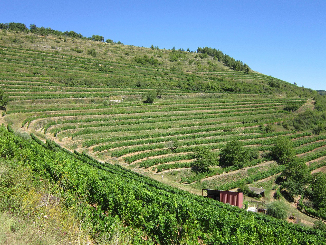 lesterrassesdusoleil1