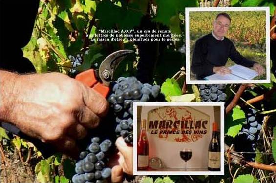 lesvigneronsduvallon