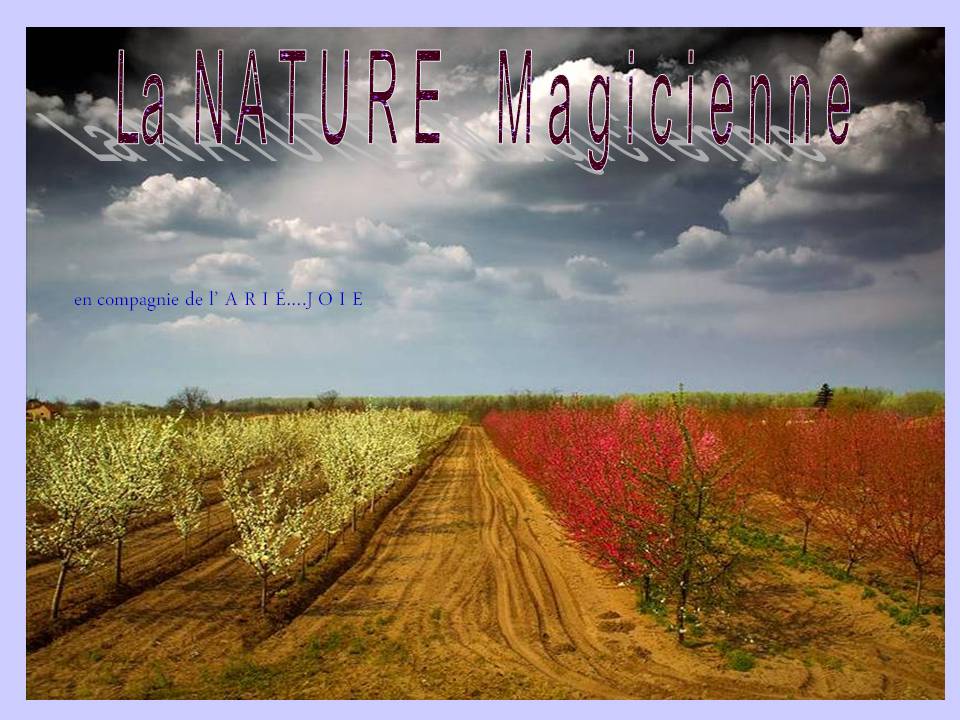 naturemagicienne