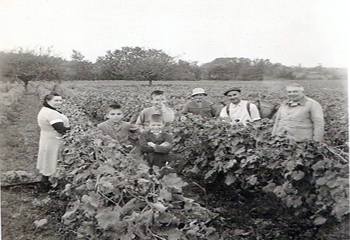 vendanges du bonheur-1
