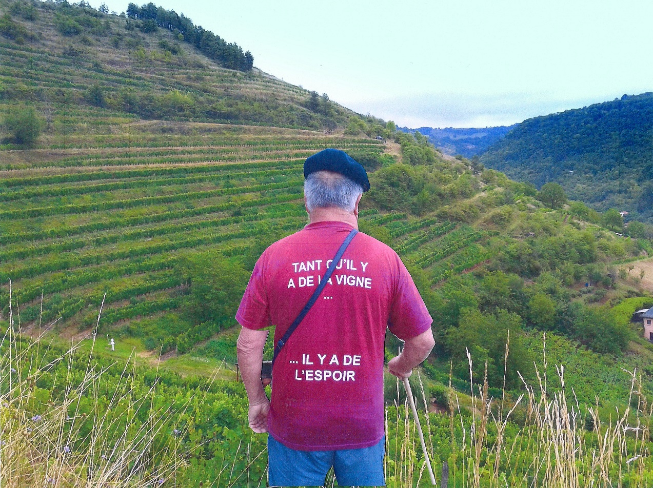 charly sur le chemin des vignes