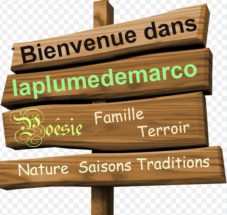 logo bienvenue marco